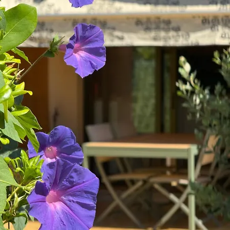Maradiva Apartman *